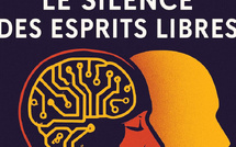 Du paradoxe de la productivité à l’ère de l’IA : quand les images bougent plus vite que la pensée