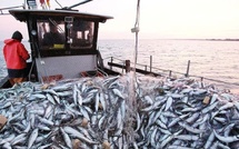 Maroc : le «Label Halieutique» débarque pour booster les produits de la mer