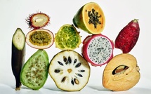 Fibermaxxing : la nouvelle obsession santé qui révolutionne notre assiette