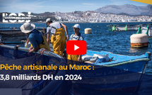 Pêche artisanale au Maroc : 3,8 milliards DH en 2024