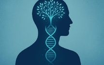 L’épigénétique : quand nos émotions modifient nos gènes