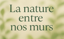 Les plantes qui dépolluent vraiment nos intérieurs