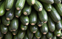 Le Maroc brille sur le marché des courges