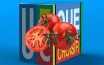 Tomates marocaines : À quoi joue l’association française UFC-Que Choisir ?