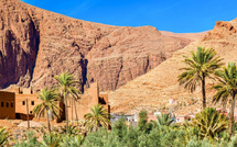 La production prévisionnelle des dattes s’élève à 160 000 tonnes