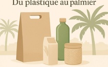 Du plastique au palmier : les nouvelles innovations marocaines pour un emballage durable