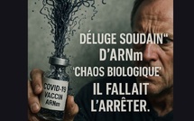 Les vaccins à ARN messager : « Il fallait les arrêter à cause du chaos biologique »