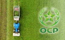 OCP innove avec un nouvel engrais hybride pour le marché européen