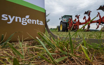 Sécuriser l’avenir alimentaire : comment la Chine entend réinventer l’agriculture mondiale avec Syngenta ?