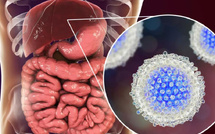 Hépatite B: l’OMS classe le Maroc parmi les pays “maîtrisant” la maladie