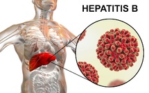 L'OMS consacre les efforts du Maroc dans la maîtrise de l'hépatite B