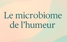 Microbiome de l’humeur : comment nos bactéries intestinales influencent l’anxiété, la motivation et la fatigue.