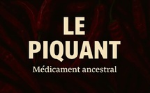 Le piquant, ce médicament ancestral qu’on avait sous la main