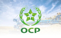 OCP 2025 : croissance record du chiffre d’affaires et engrais à haute valeur ajoutée, mais les défis internationaux persistent
