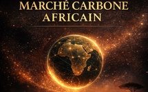 Marché carbone Africain 