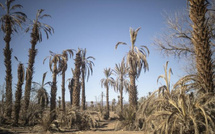 La Banque mondiale débloque 200 M$ pour renforcer la résilience climatique du Maroc