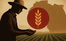 Agriculture : Le vrai coût de la dépendance alimentaire au Maghreb