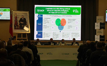 ​OCP lance trois centrales solaires de 202 MW à Khouribga et Benguerir