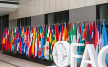 Réélu au Conseil du PAM, le Maroc consolide sa stratégie d’influence sur les politiques alimentaires en Afrique