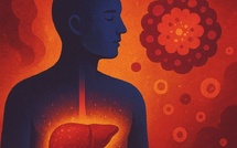 Inflammation silencieuse : cette fatigue qu’on n’explique pas