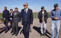 Lesieur Cristal : un investissement stratégique pour l’économie oléicole marocaine