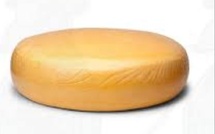 Fromage entier et cerveau: une étude suédoise associe sa consommation à un moindre risque de démence