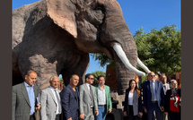 Casablanca : le zoo d’Aïn Sebaâ rouvre après réhabilitation