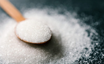 Le sucre du futur ? Des scientifiques ont peut-être trouvé la solution