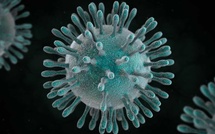 Virus MERS : ce qu’il faut savoir pour se protéger cet hiver