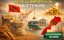 ​Blé tendre : le Maroc instaure une prime à l’importation pour sécuriser son approvisionnement