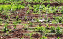 Irrigation au Maroc : quand le pilier de l’agriculture vacille sous le poids des subventions impayées