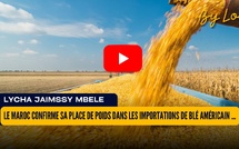 [vidéo] : Le Maroc confirme sa place de poids dans les importations de blé américain en Afrique en 2025