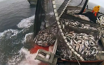 Accords de pêche avec l’UE : Maroc et Mauritanie, 75% des financements