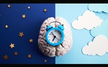 Le sommeil, thérapie quotidienne du cerveau: l’alerte d’une experte allemande