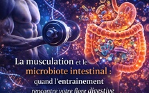 La musculation et le microbiote intestinal : quand l’entraînement rencontre votre flore digestive