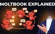 Moltbook : les IA ont créé leur Facebook !