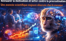 Restaurer la motivation et lutter contre la procrastination