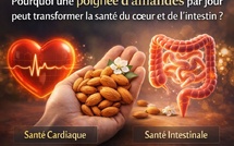 Pourquoi une poignée d’amandes par jour peut transformer la santé du cœur et de l’intestin ?