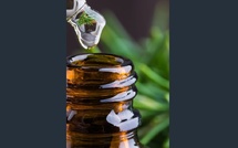 Un mélange d’huiles essentielles booste mémoire et attention