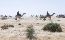 Mort dans le désert : un retraité français disparaît au Tchad