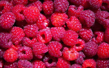 64 700 tonnes : le Maroc voit rouge… framboise