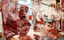 Casablanca : les abattoirs signent une performance record malgré la crise de la viande rouge