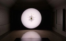 "Habba – Chajara – Zahra": un voyage intérieur de la graine à la fleur au MMVI