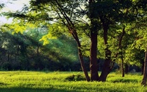 Ramadan : Dar Bouazza inaugure deux nouveaux espaces vergers pour offrir des lieux de respiration urbaine