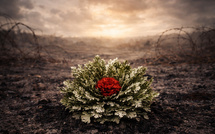 🎵 LA ROSE DE JÉRICHO