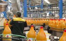 2025 : Lesieur Cristal stabilise son chiffre d’affaires à 5,39 MMDH