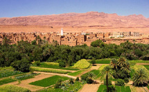 ​Réforme des terres des collectivités Soulaliyates: le gouvernement adopte deux décrets