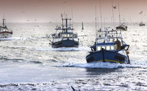 Maroc–Russie : l’accord de pêche entre en vigueur sur le terrain