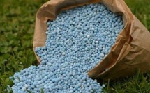  Le Maroc s’impose comme fournisseur clé d’engrais et de légumes pour l’UE 