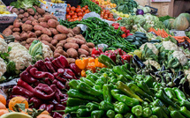 L'offensive verte : Le Maroc conquiert les marchés européens des engrais et légumes